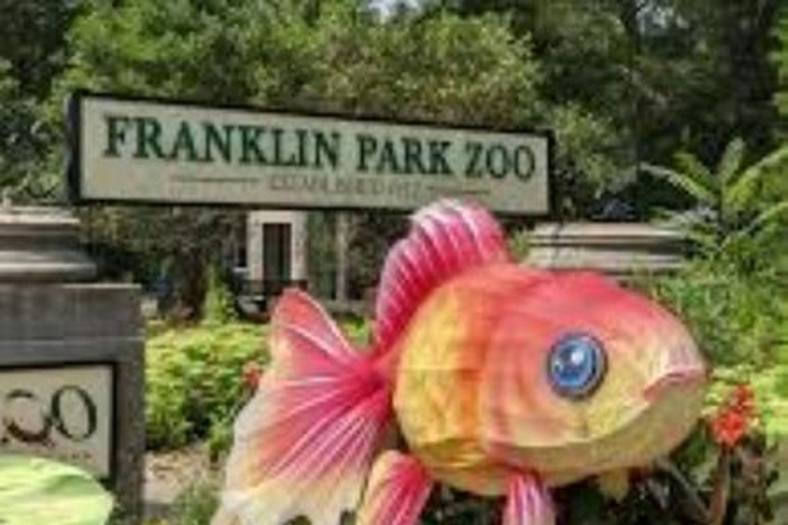 Franklin Park Zoo: Entry Ticket - photo 4