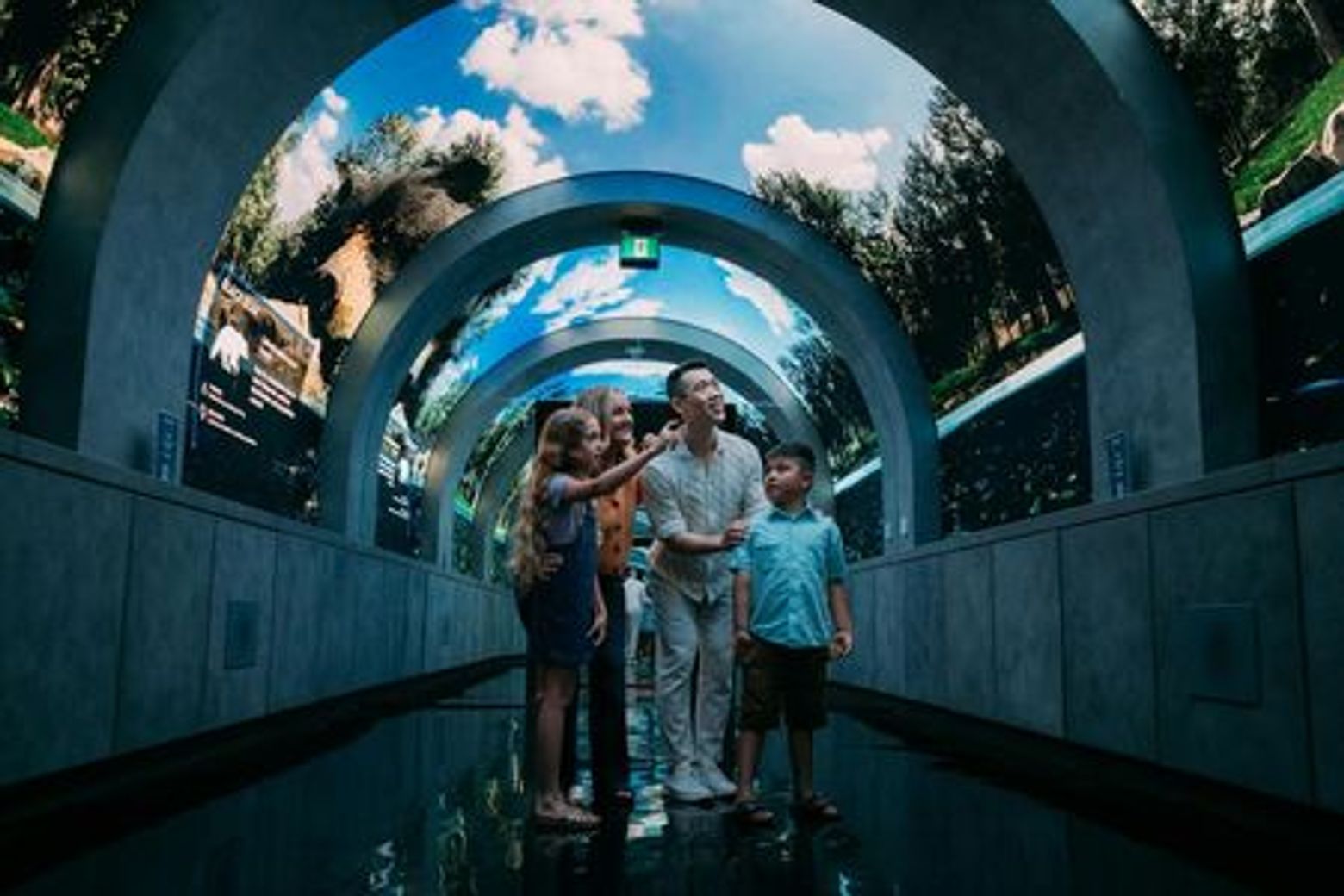 Arcadia Earth Toronto: Anytime Entry Ticket - photo 4