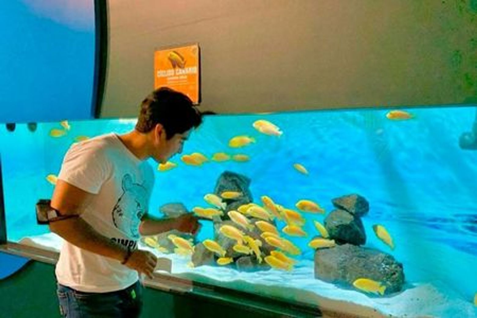 Michin Aquarium Puebla: Entry Ticket - photo 3