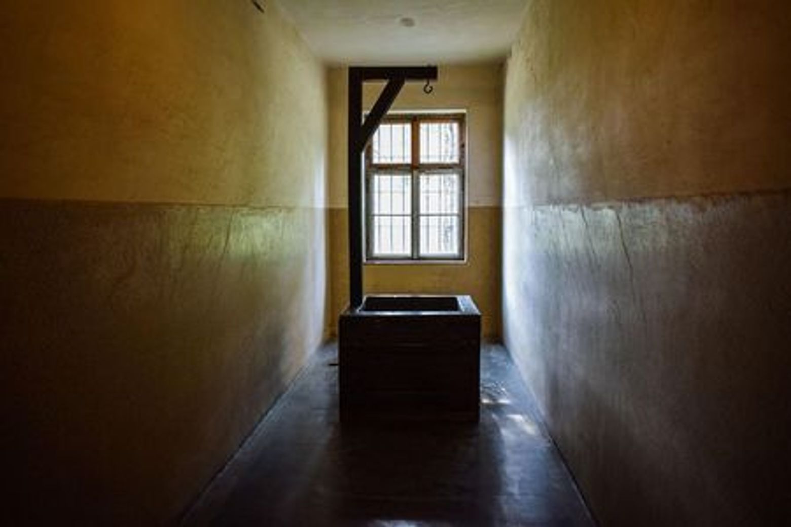 Oswiecim: Auschwitz Entry Reservation & Audio Tour - photo 4