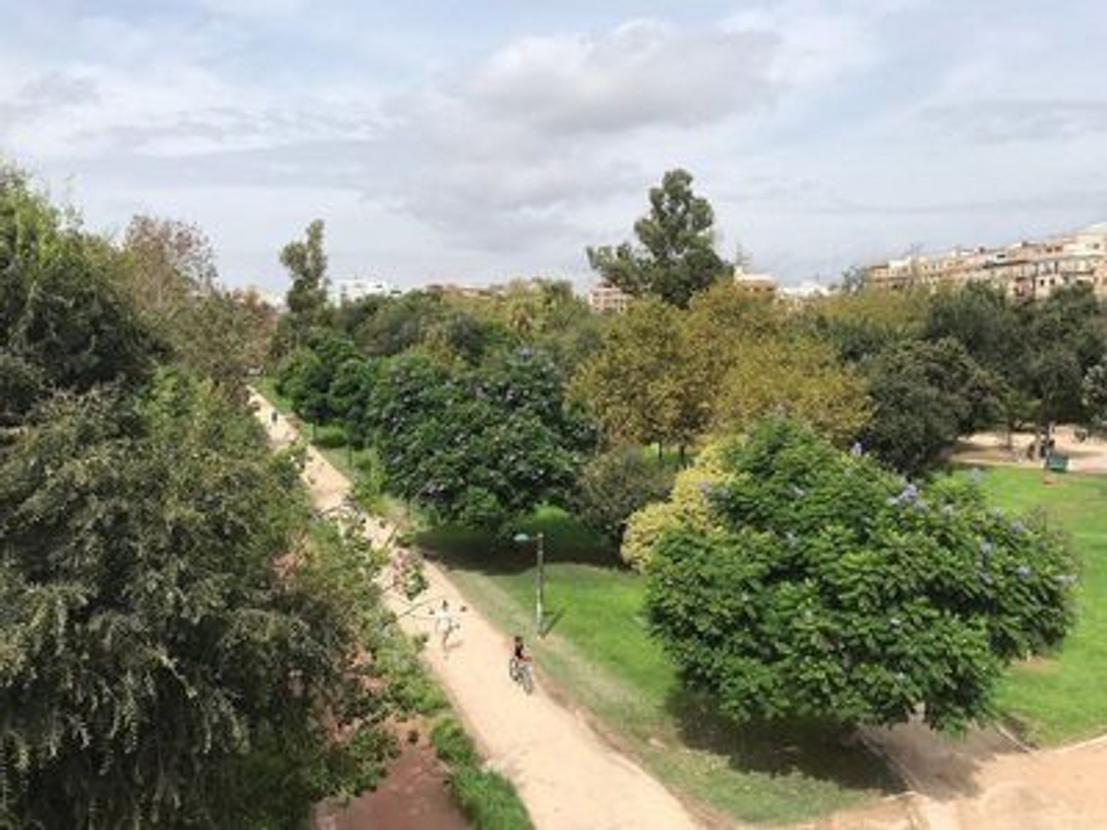 Cultural Bike Tour in Valencia: Turia Park and City Center, from Ancient Gates to Modern Wonders - photo 3