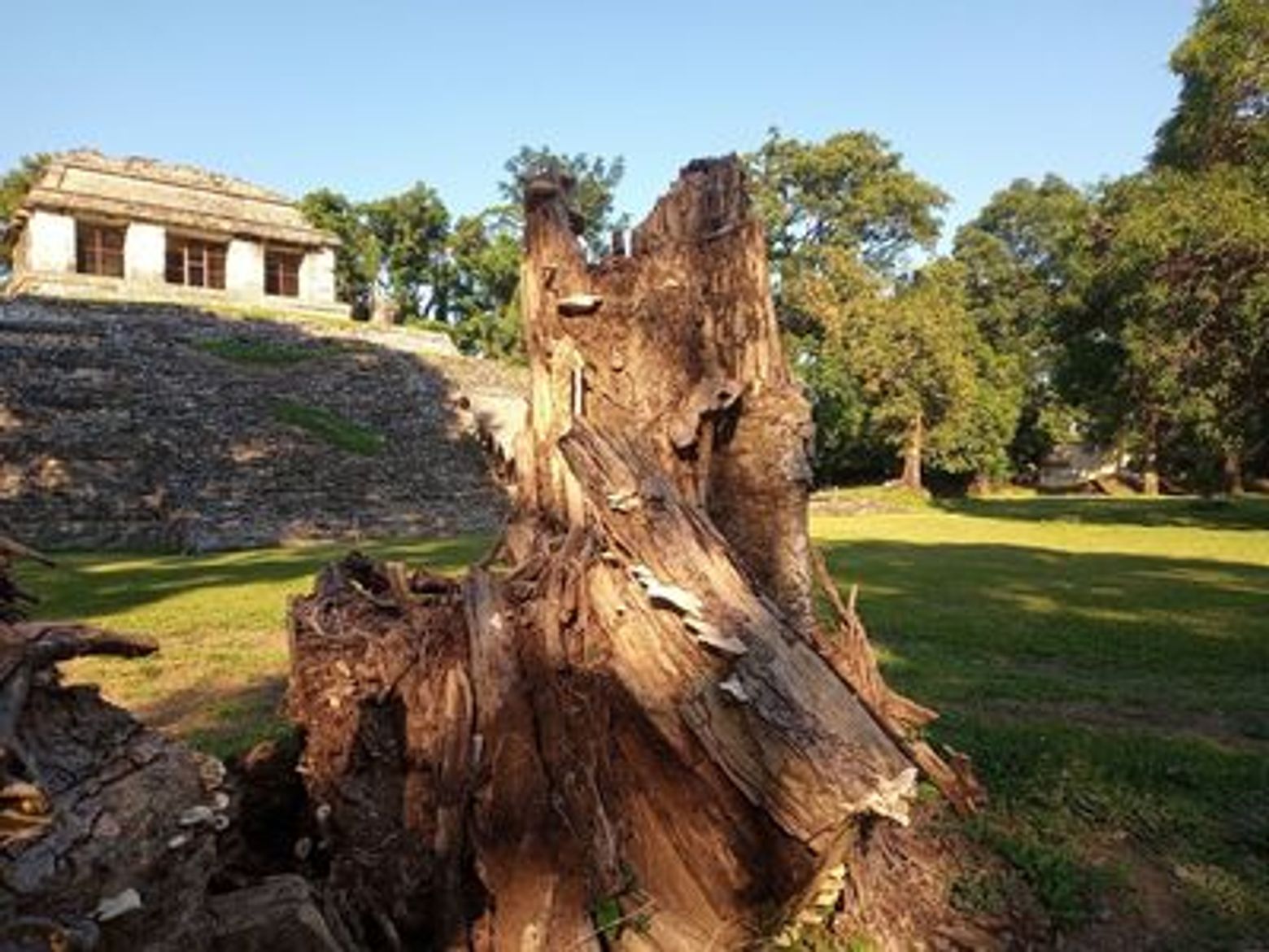 Palenque Archaeological Site: Audio Tour (Without a Ticket) - photo 4