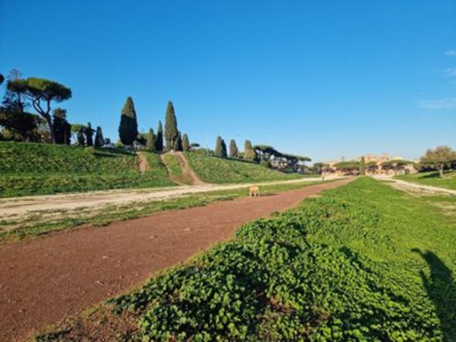 Rome's Historical Highlights with Capitoline Museum Ticket - photo 4