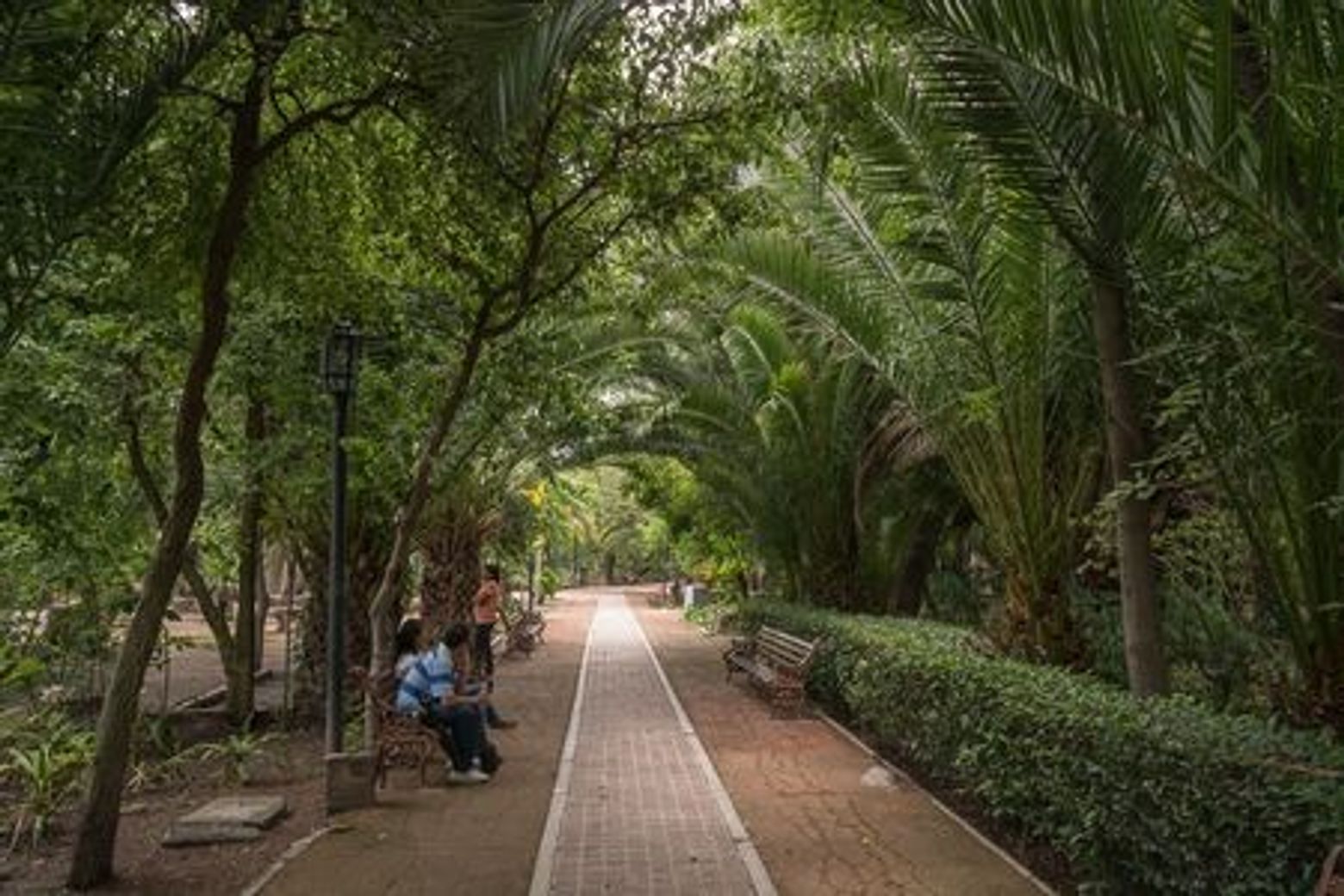 San Miguel de Allende: Downtown Discovery Audio Tour - photo 4