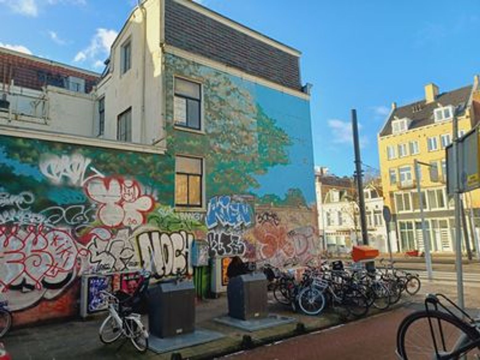 Amsterdam: Vondelpark & Old West Secrets Audio Tour - photo 4