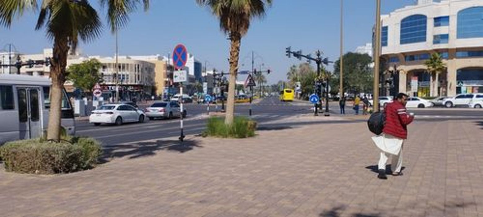 Abu Dhabi: Al Ain City Audio Tour - photo 3