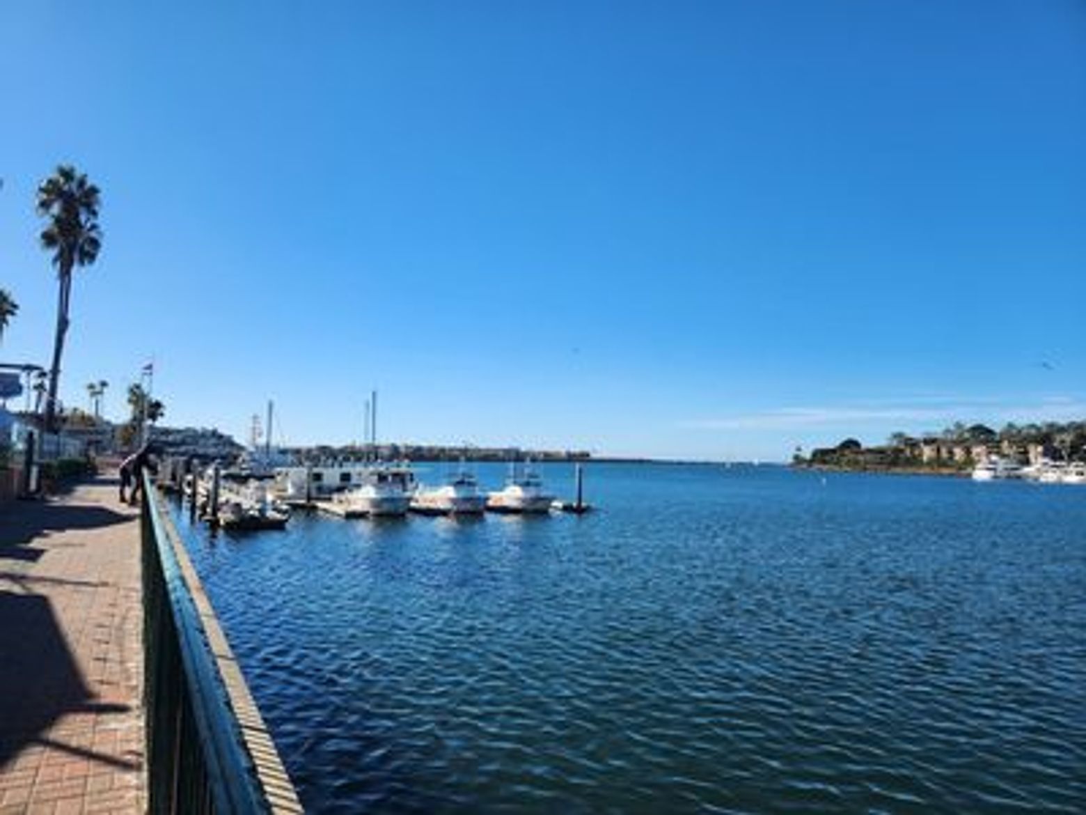 Los Angeles: Marina del Rey Adventure Audio Tour - photo 4