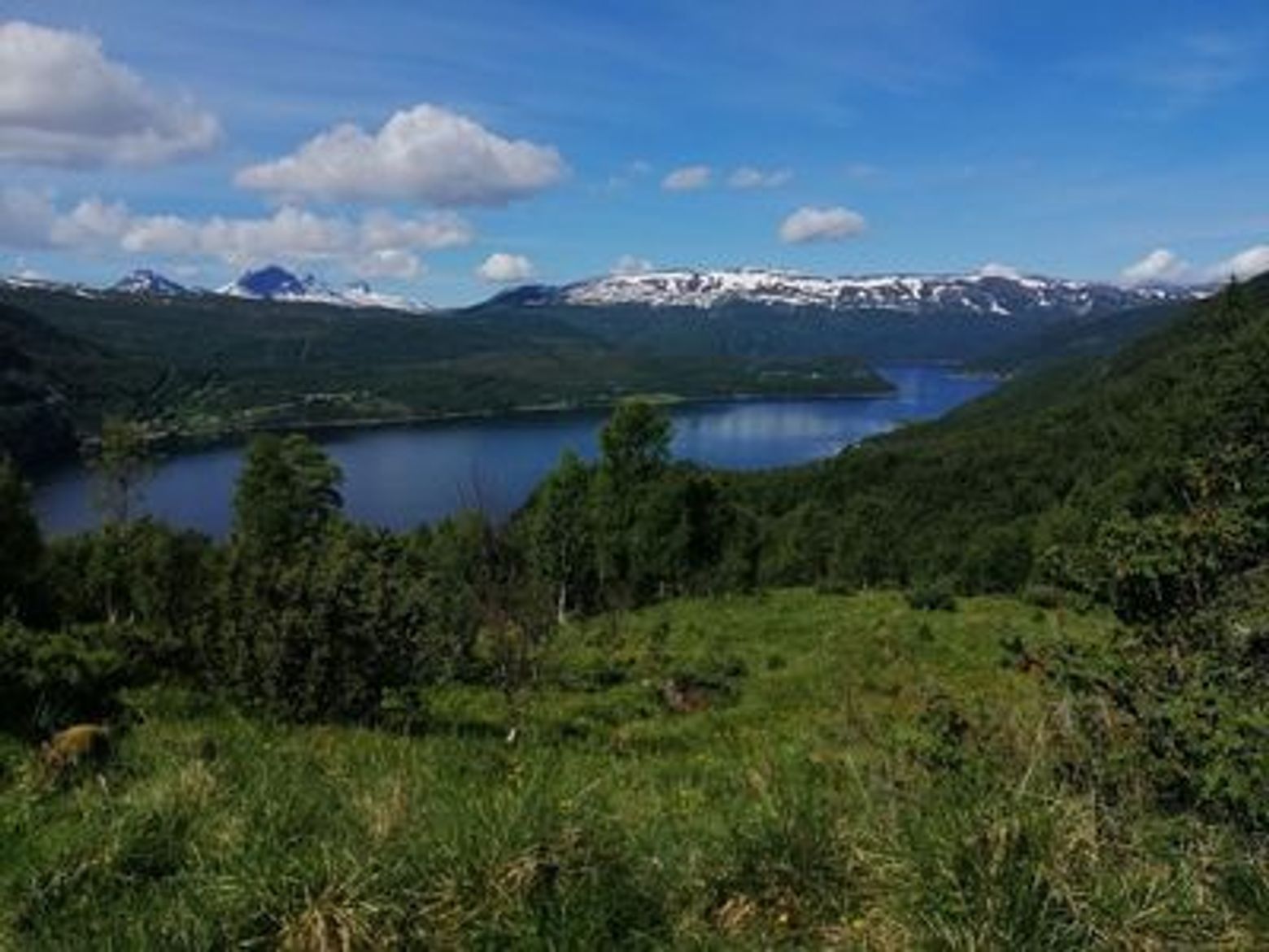 Bodo: Arctic Gateway Adventure Audio Tour - photo 4