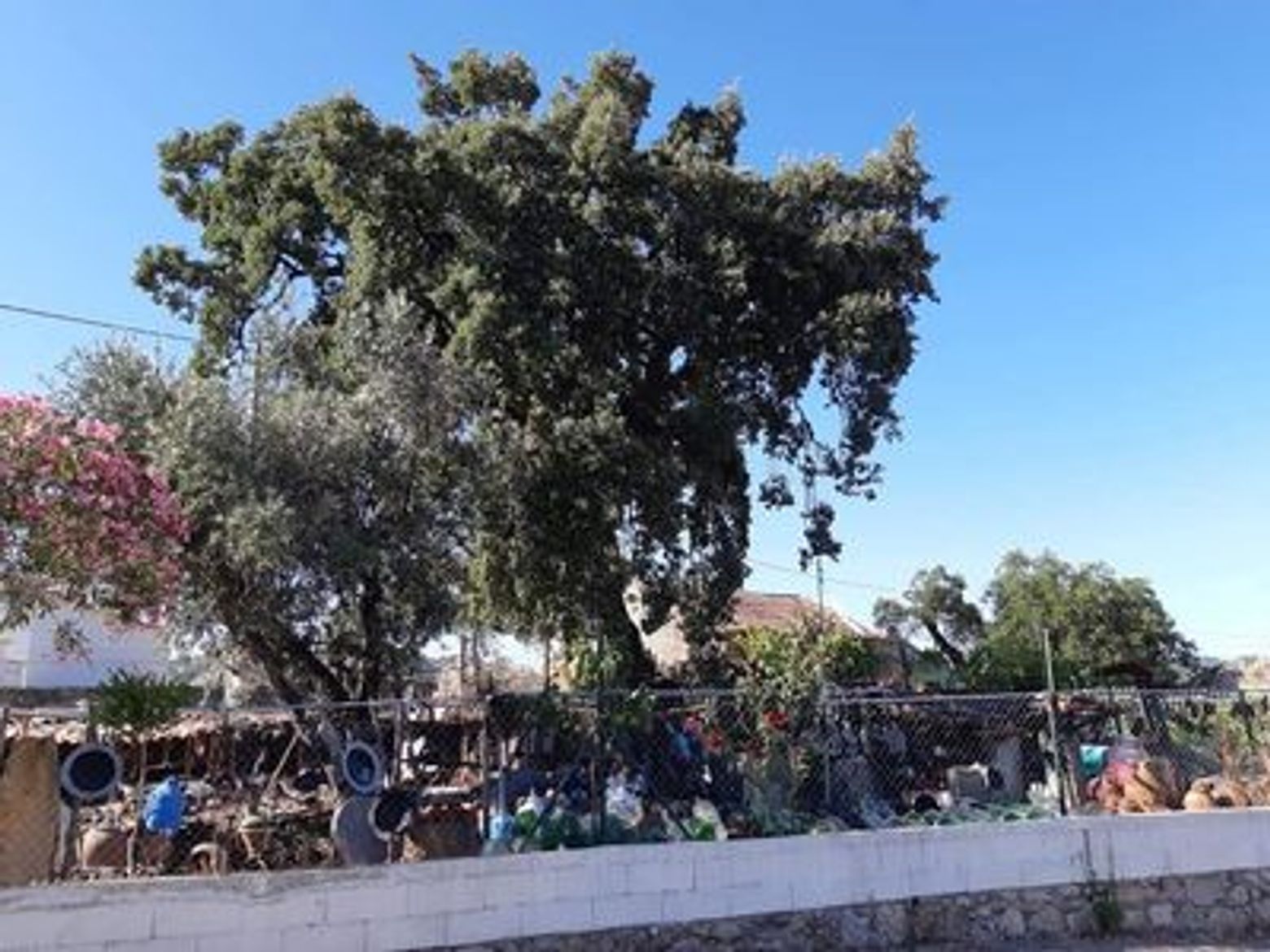 Monsanto: Secrets Revealed Audio Tour - photo 4