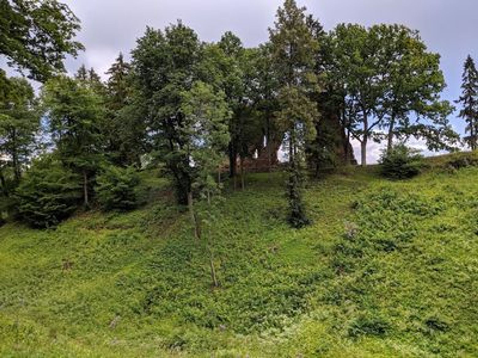 Viljandi City Highlights: A Walking Tour Adventure - photo 3