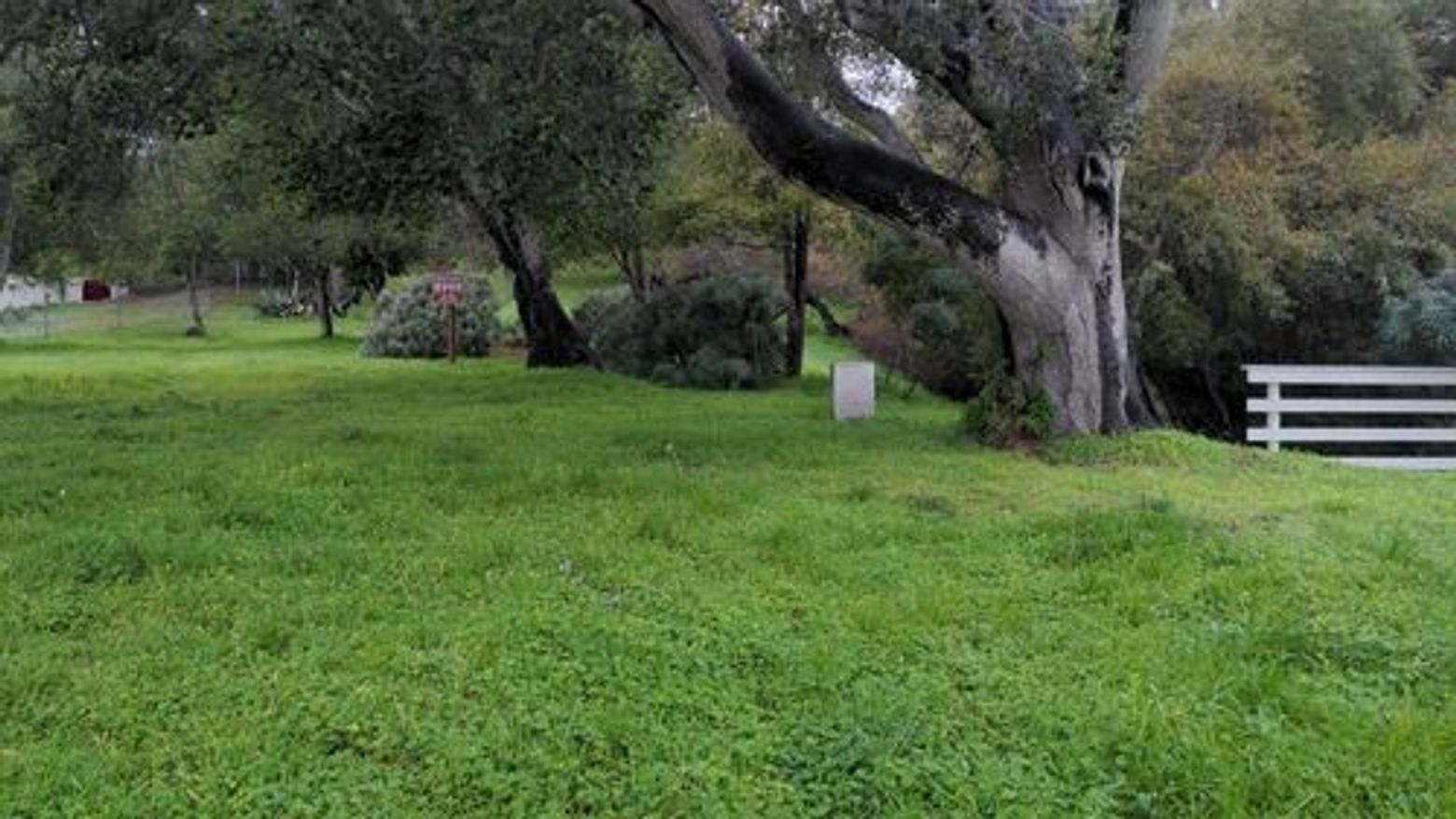 Monterey: Pirate Legends Audio Tour - photo 4