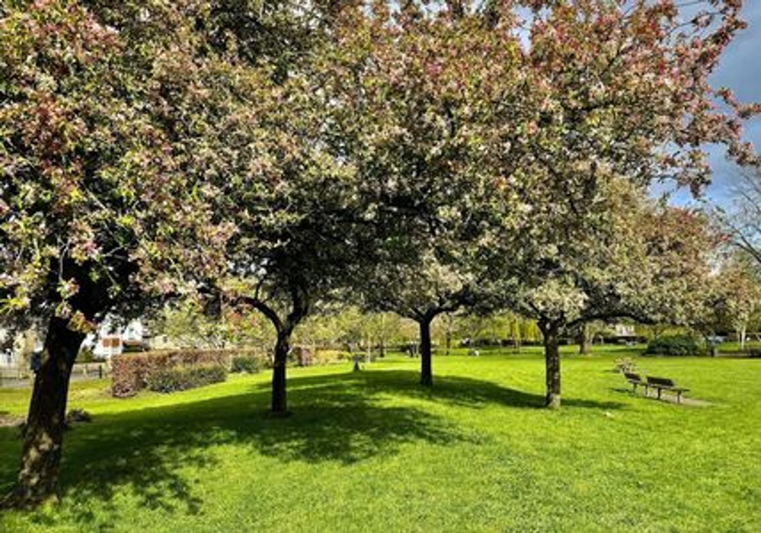 Salisbury's Timeless Trails: A Historic Walking Journey - photo 4