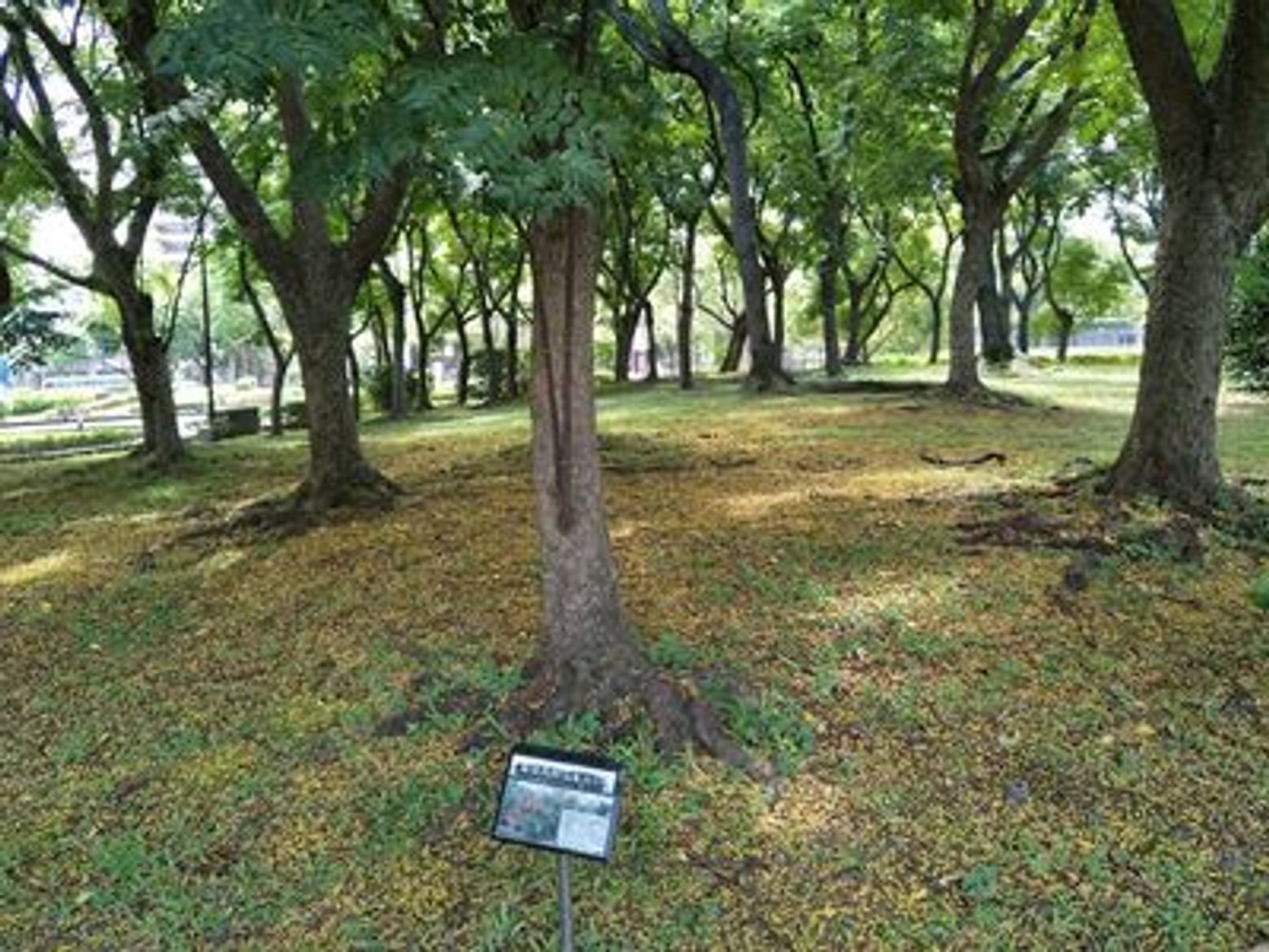 Taipei Wonders: A Cultural & Architectural Walking Tour - photo 4