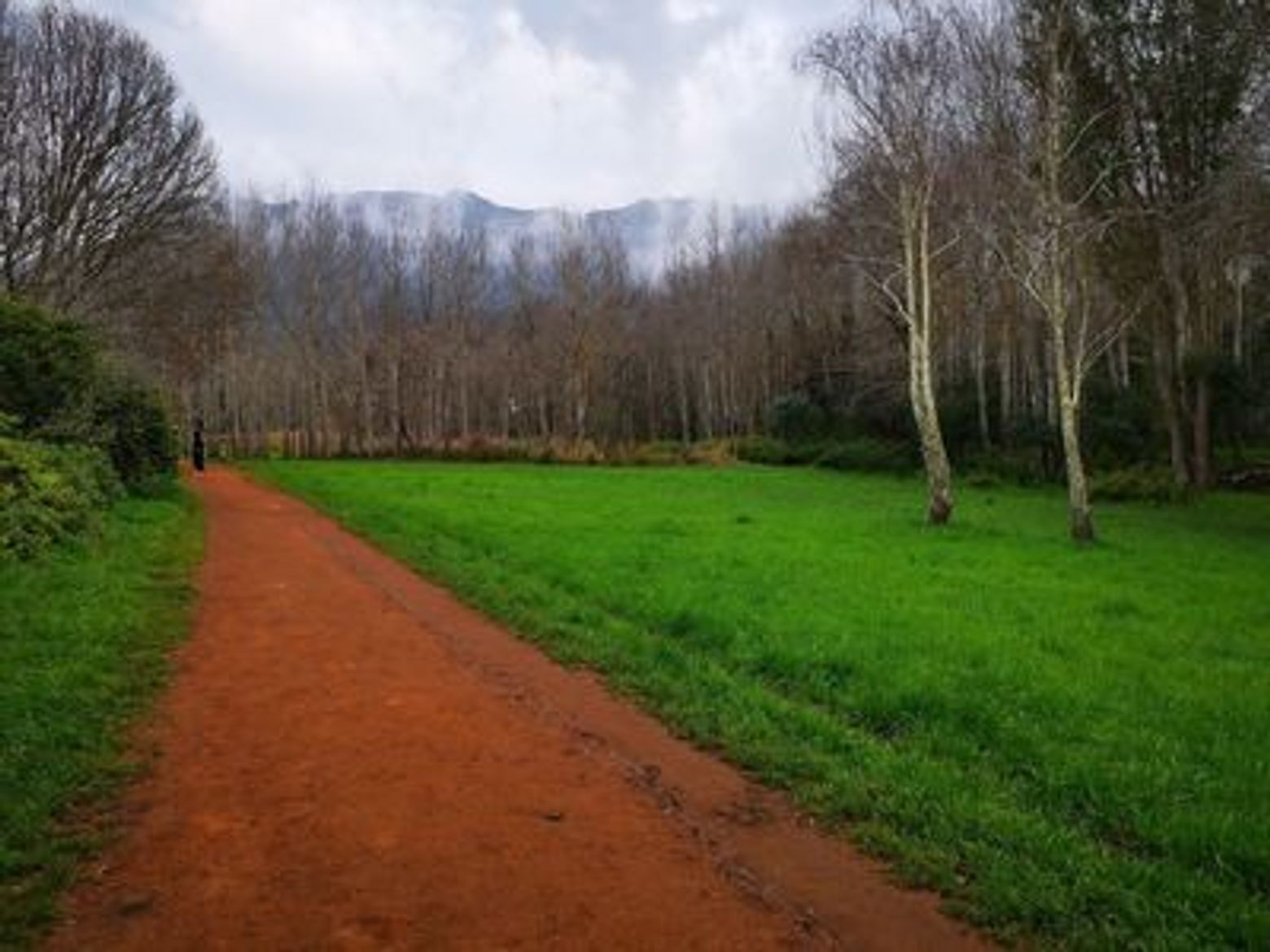Cape Town: Enchanted Gardens Audio Tour - photo 3