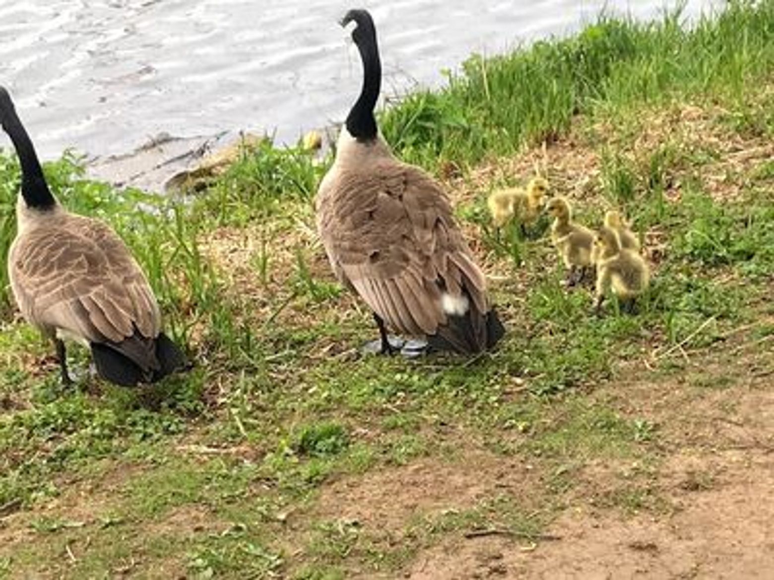 Nuremberg: Photographic Journey Audio Tour - photo 3