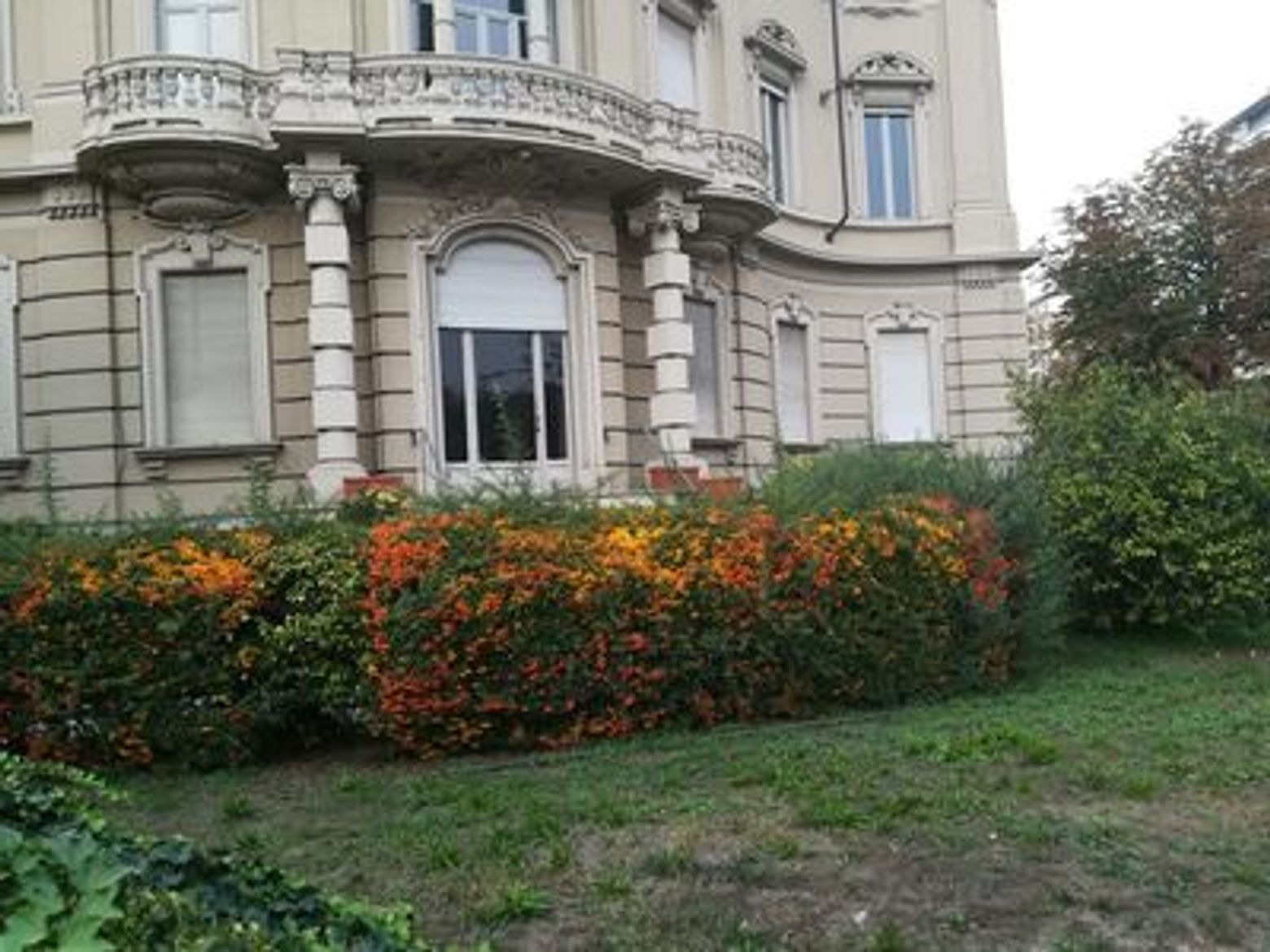 Turin's Belle Époque: A Walking Tour of Art Nouveau - photo 4