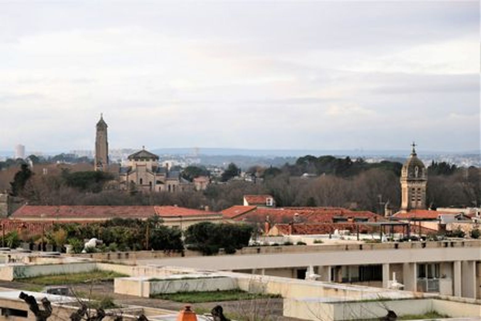 Montpellier: Historic Gems Audio Tour - photo 3