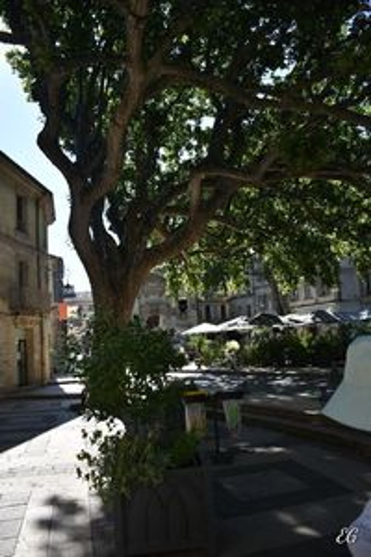 Avignon: Palatial Grandeur Audio Tour - photo 3