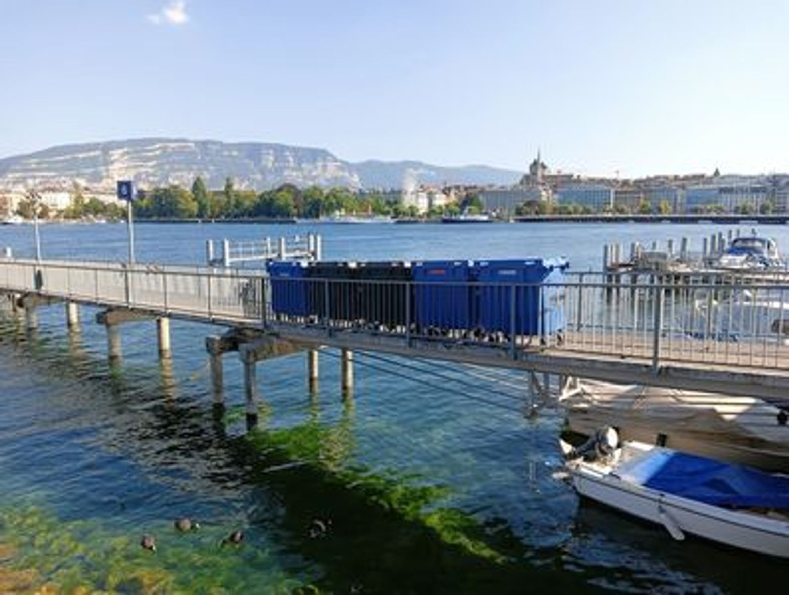 Geneva: Lakeside Charms Audio Tour - photo 3