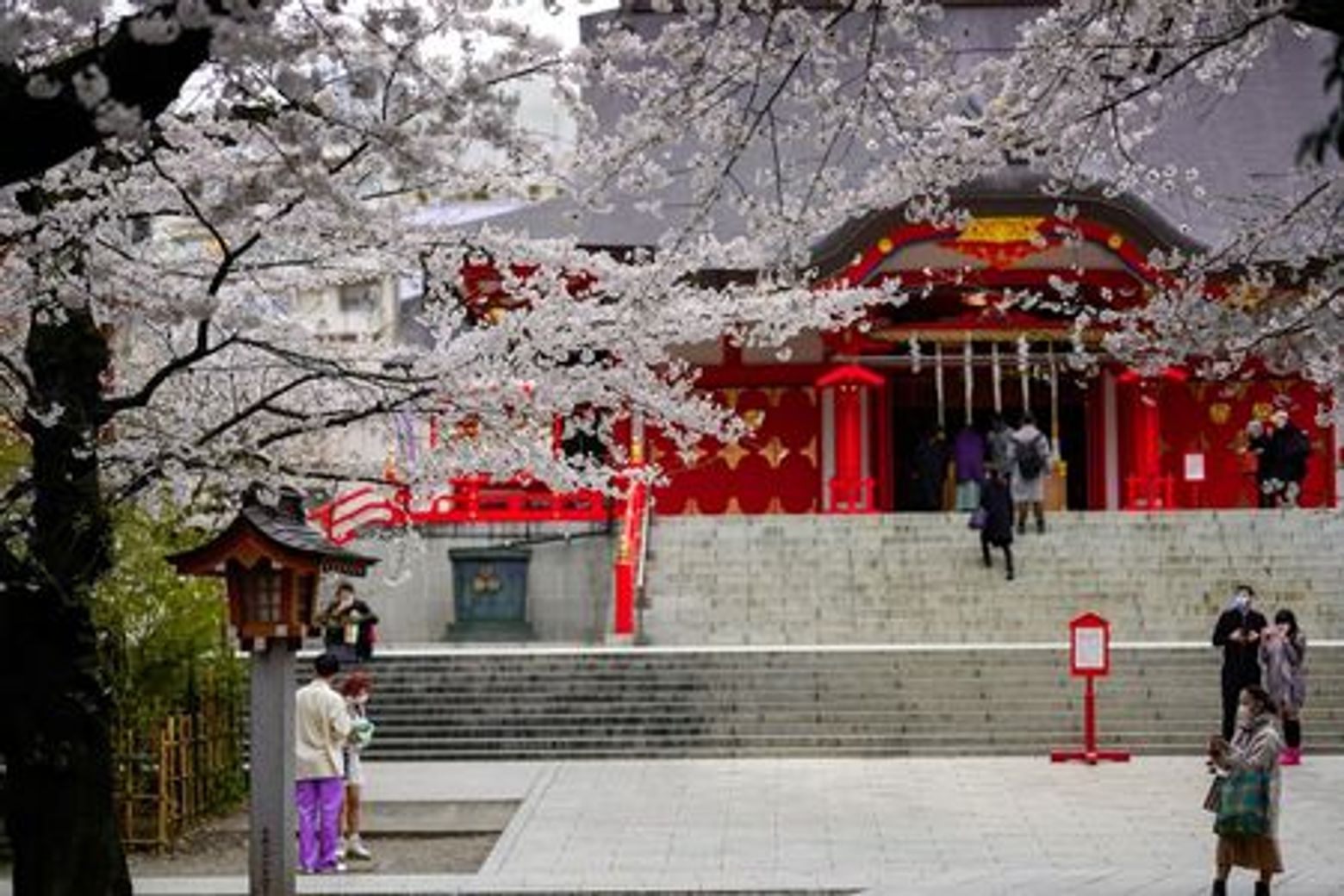 Tokyo: Shinjuku Walk Self-Guided Audio Tour - photo 4