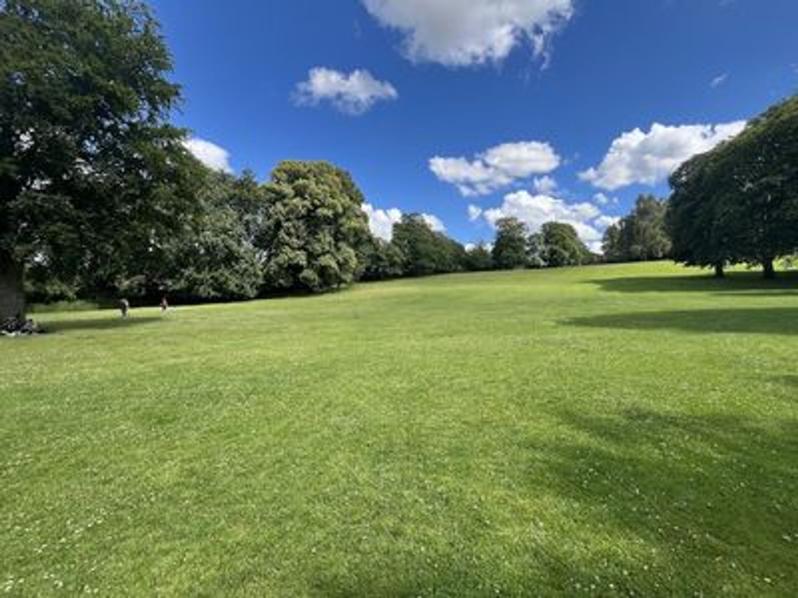 Roskilde: Viking Saga Echoes Audio Tour - photo 4