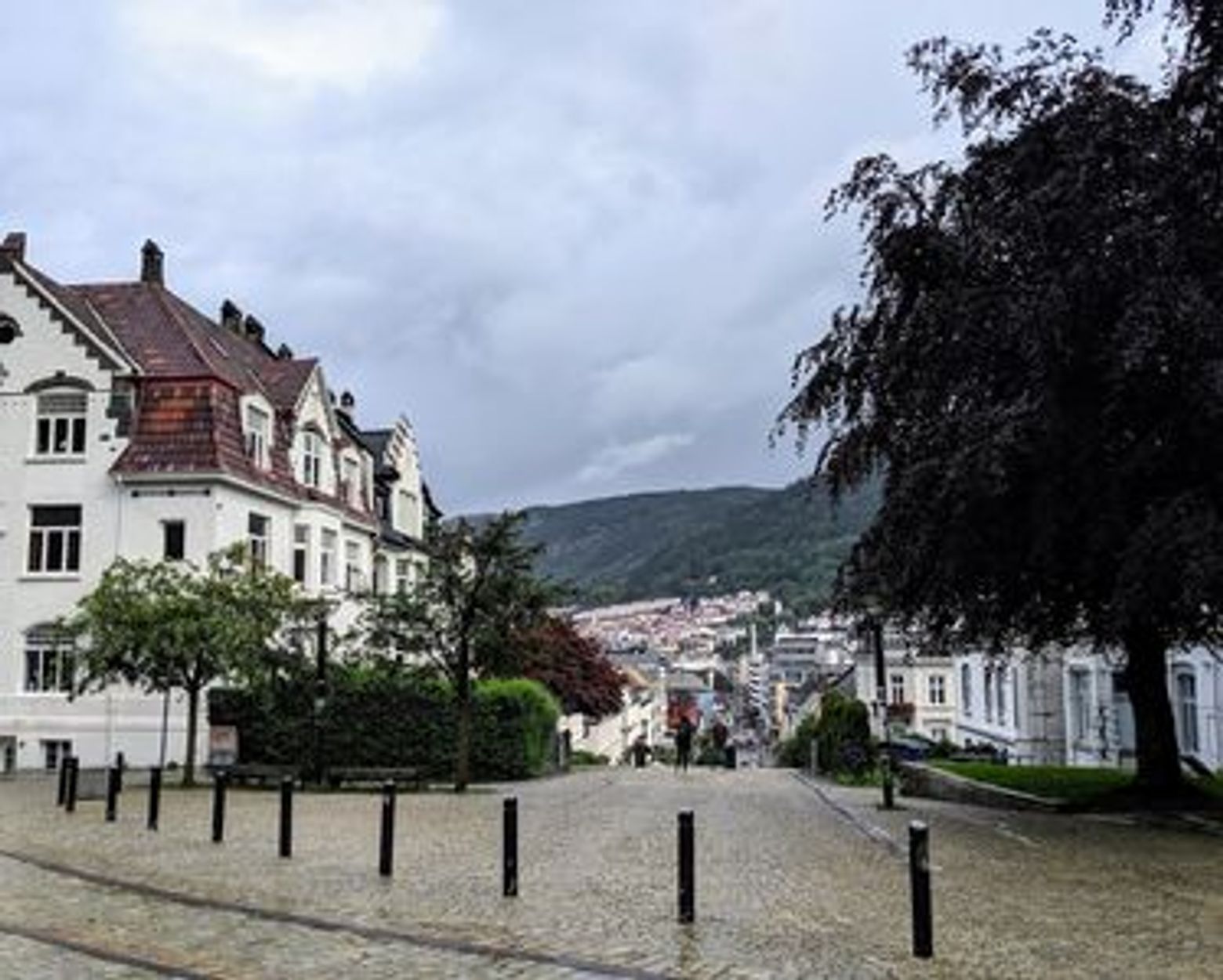 Bergen: University District Exploration Audio Tour - photo 4