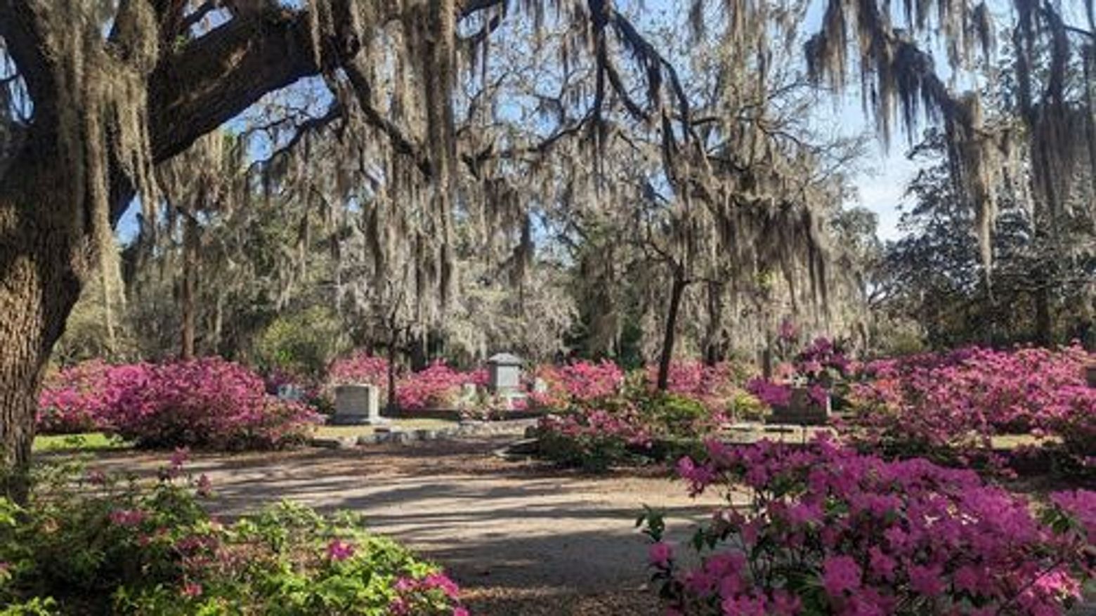 Savannah: Bonaventure's Mysteries Audio Tour - photo 4