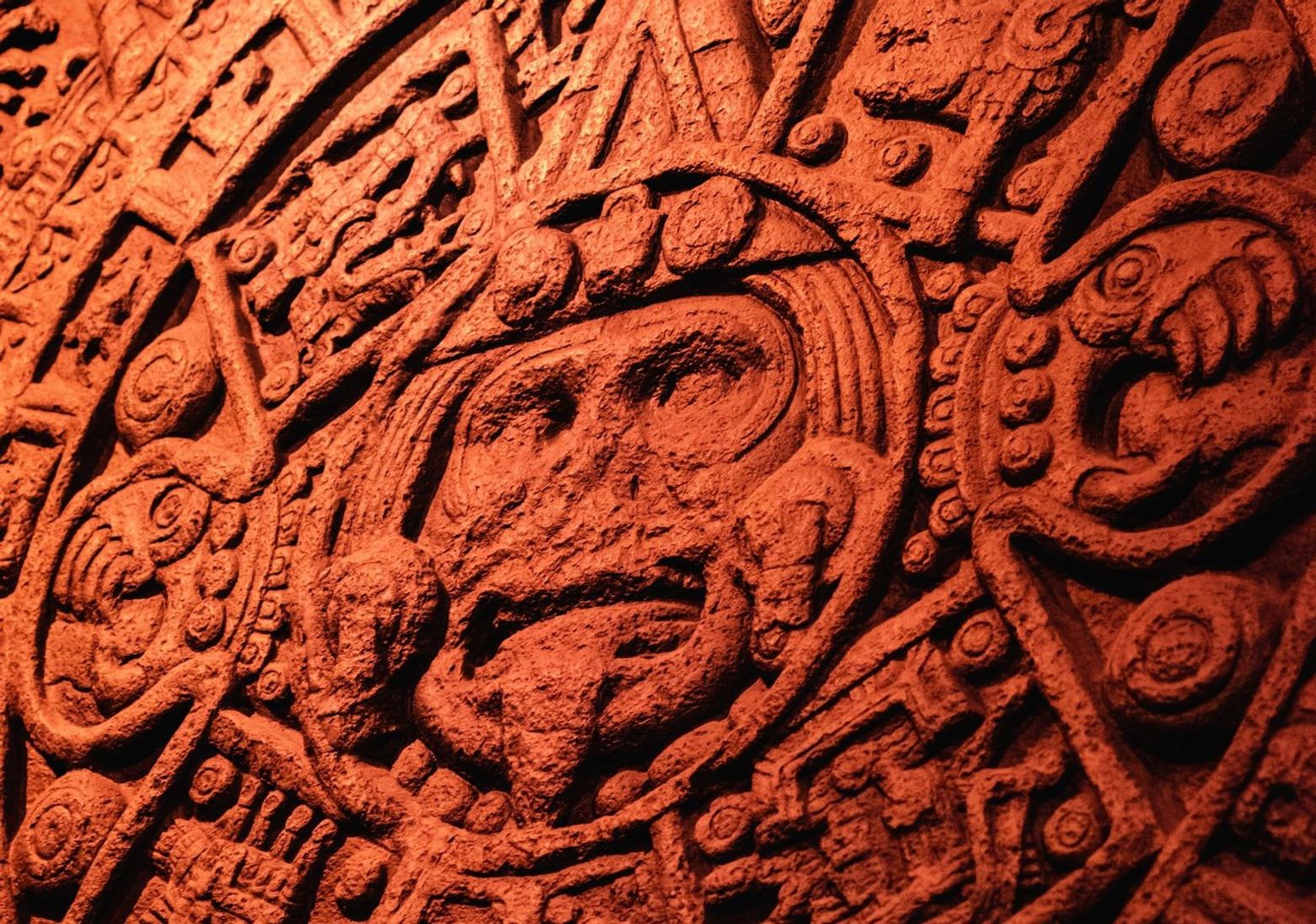 Chicago: Field Museum Ticket & Audio Tour - photo 2