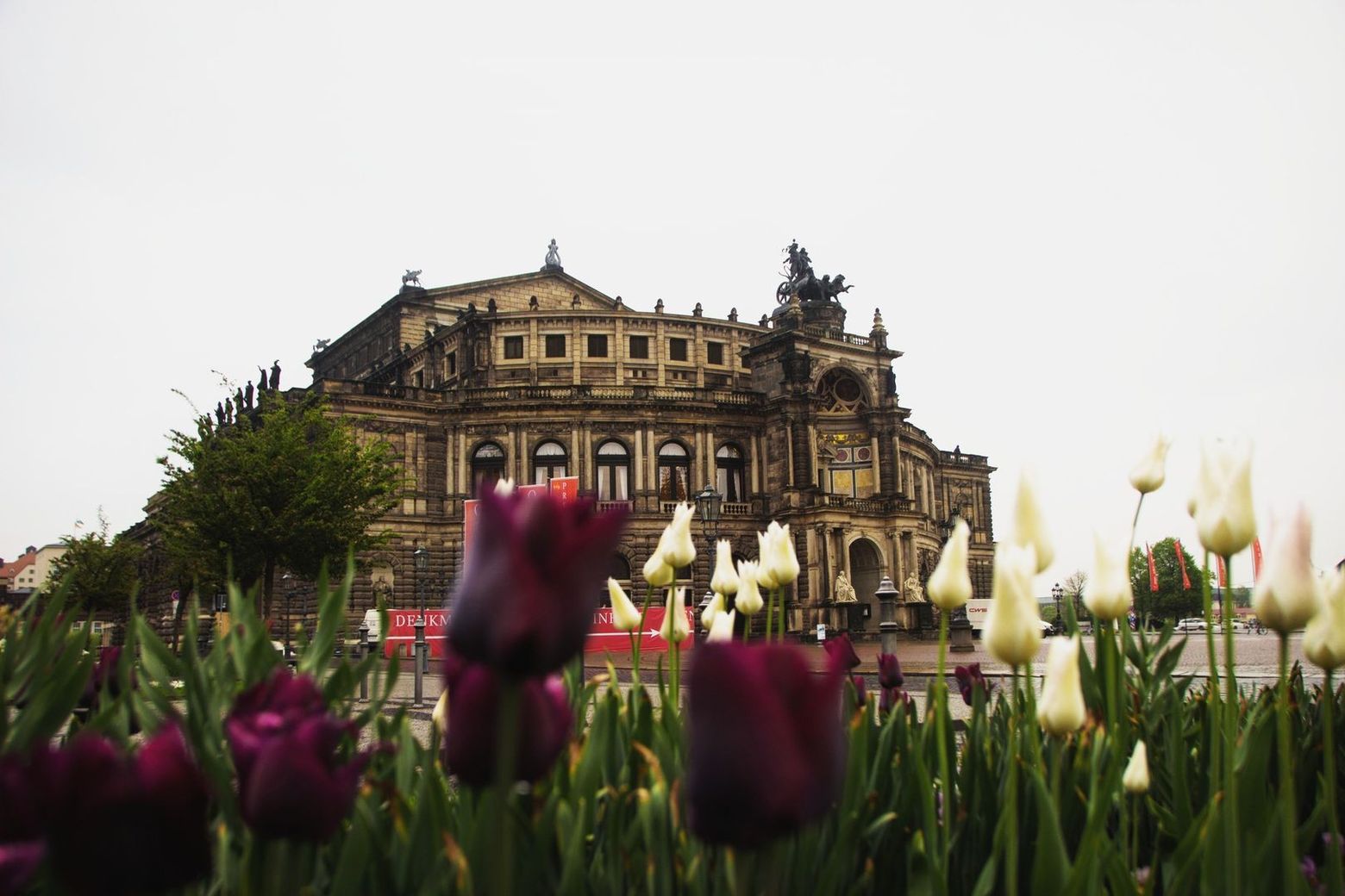 Dresden Walk: Semperoper, Frauenkirche, Zwinger, and many more
