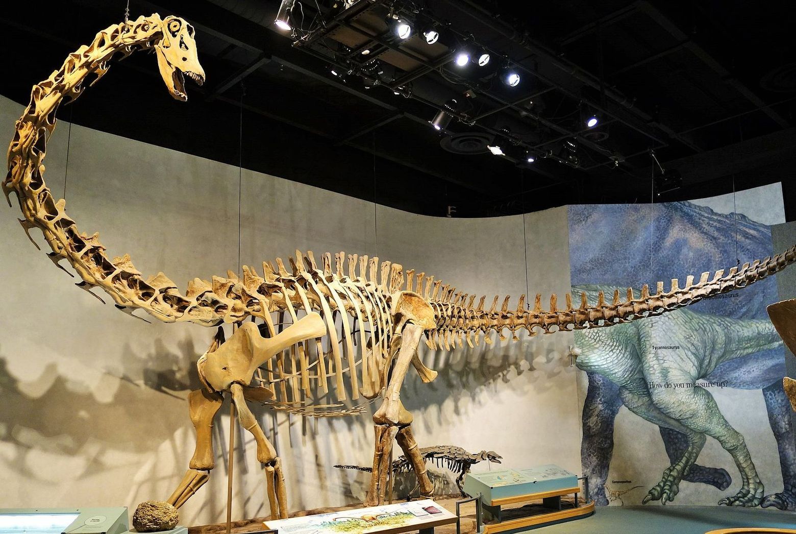 Denver: Museum of Nature and Science Ticket & Audio Tour