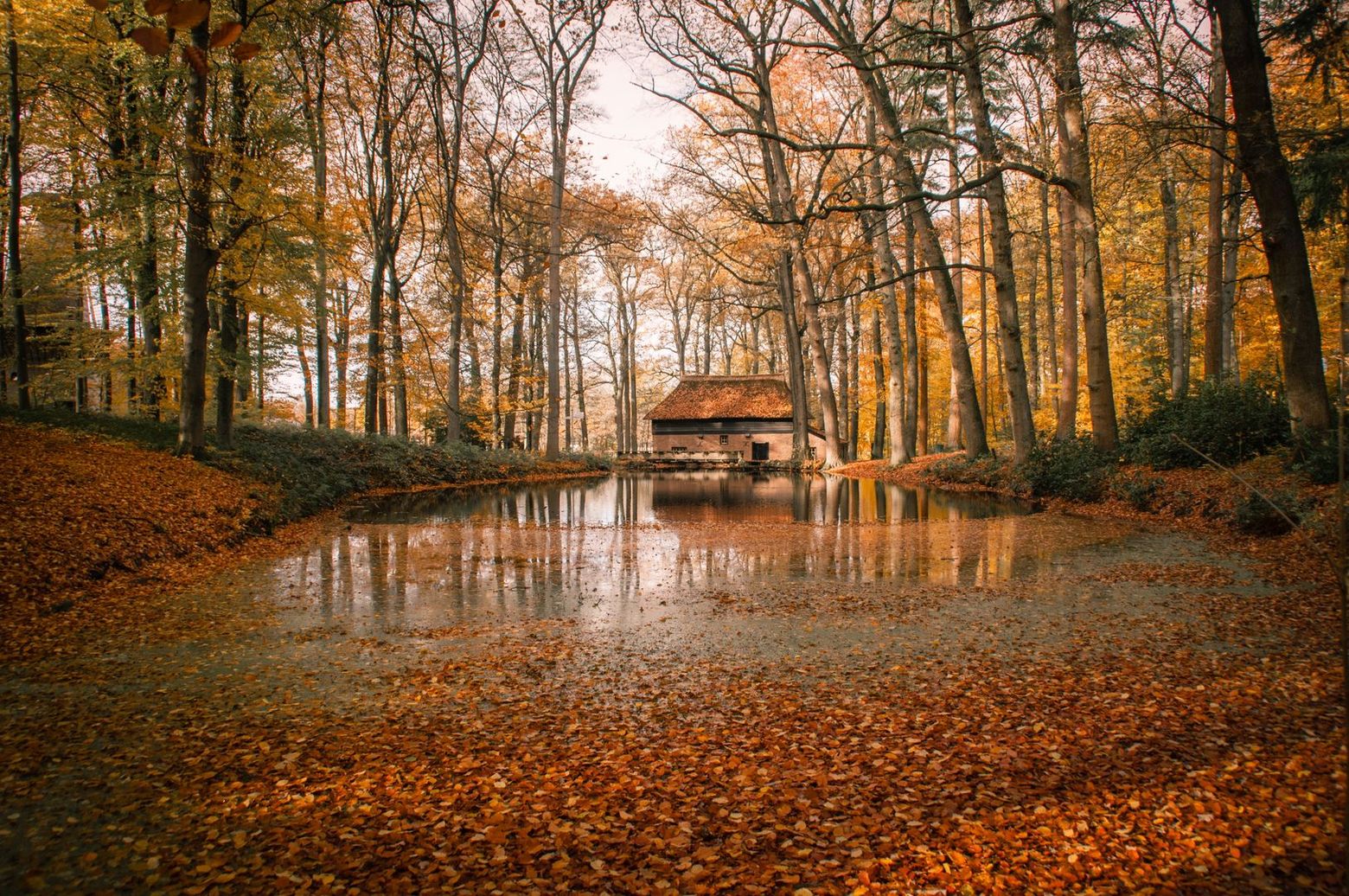 Arnhem: Netherlands Open Air Museum Ticket & Audio Tour - photo 2