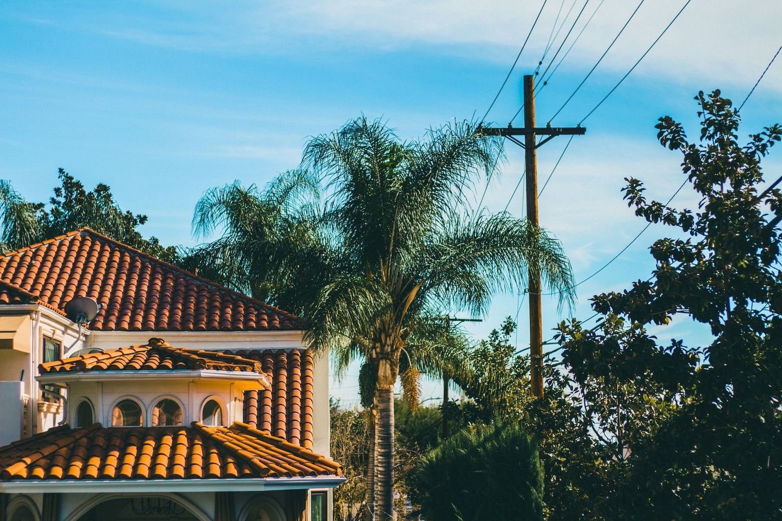 Los Angeles: Angelino Flavors & Star-Studded Audio Tour - photo 2