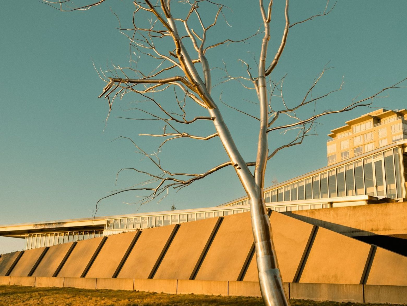 Artistic Seattle: Engaging with the Extraordinary on the Vibrant Streets - photo 2