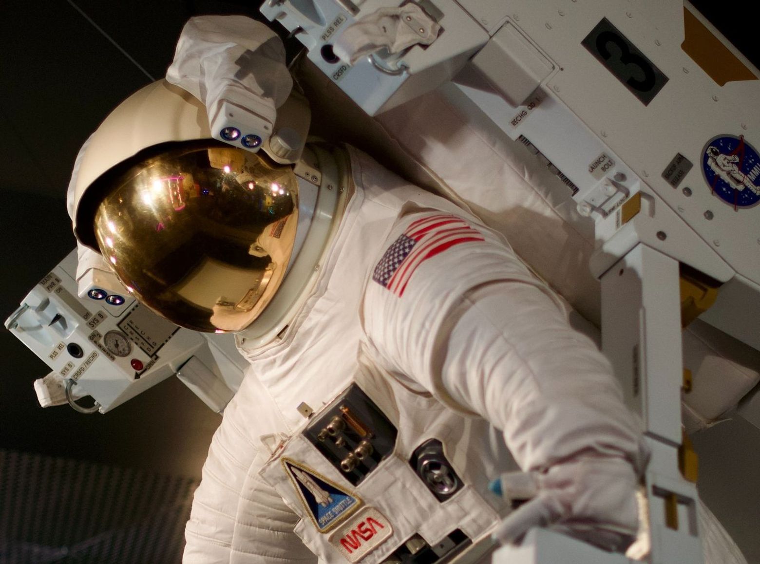 Denver: Museum of Nature & Science Ticket