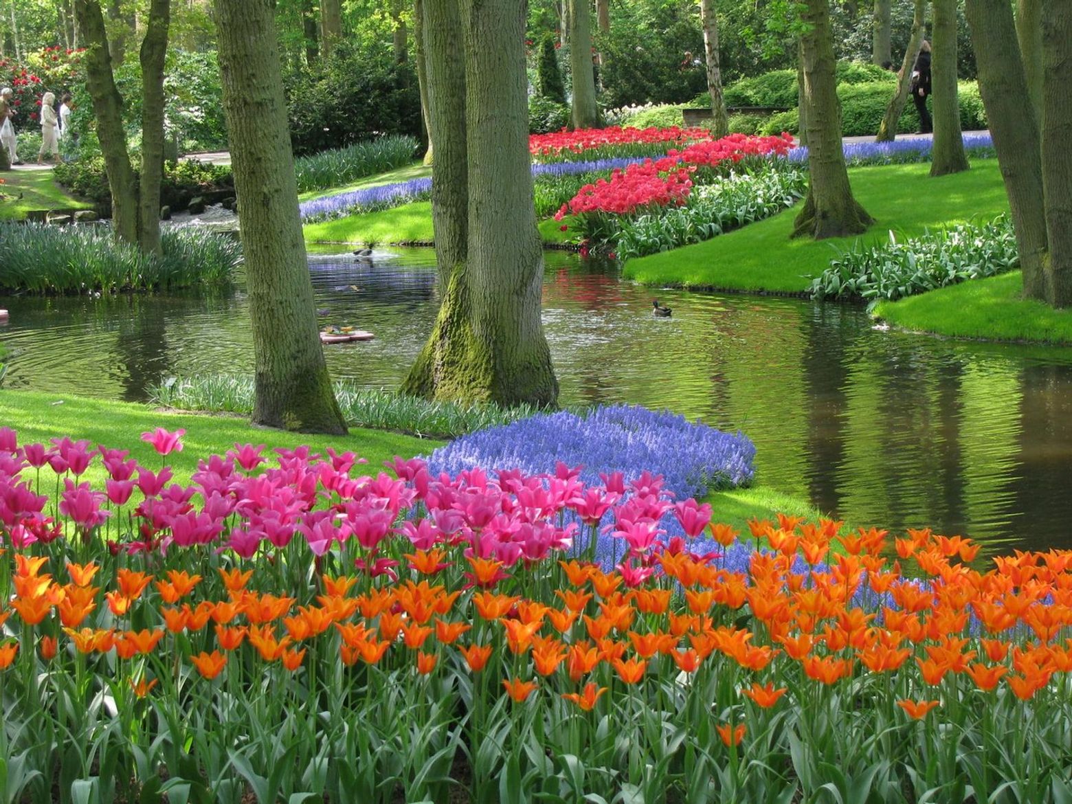 Keukenhof: Entry Ticket