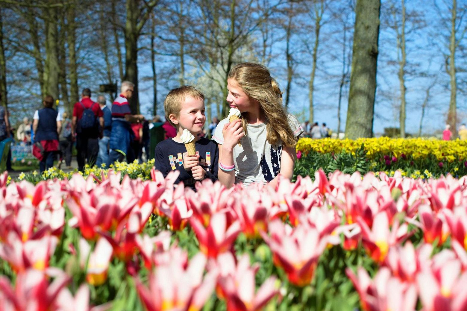 Keukenhof: Entry + Return Bus Transfer from A’dam Tower - photo 2