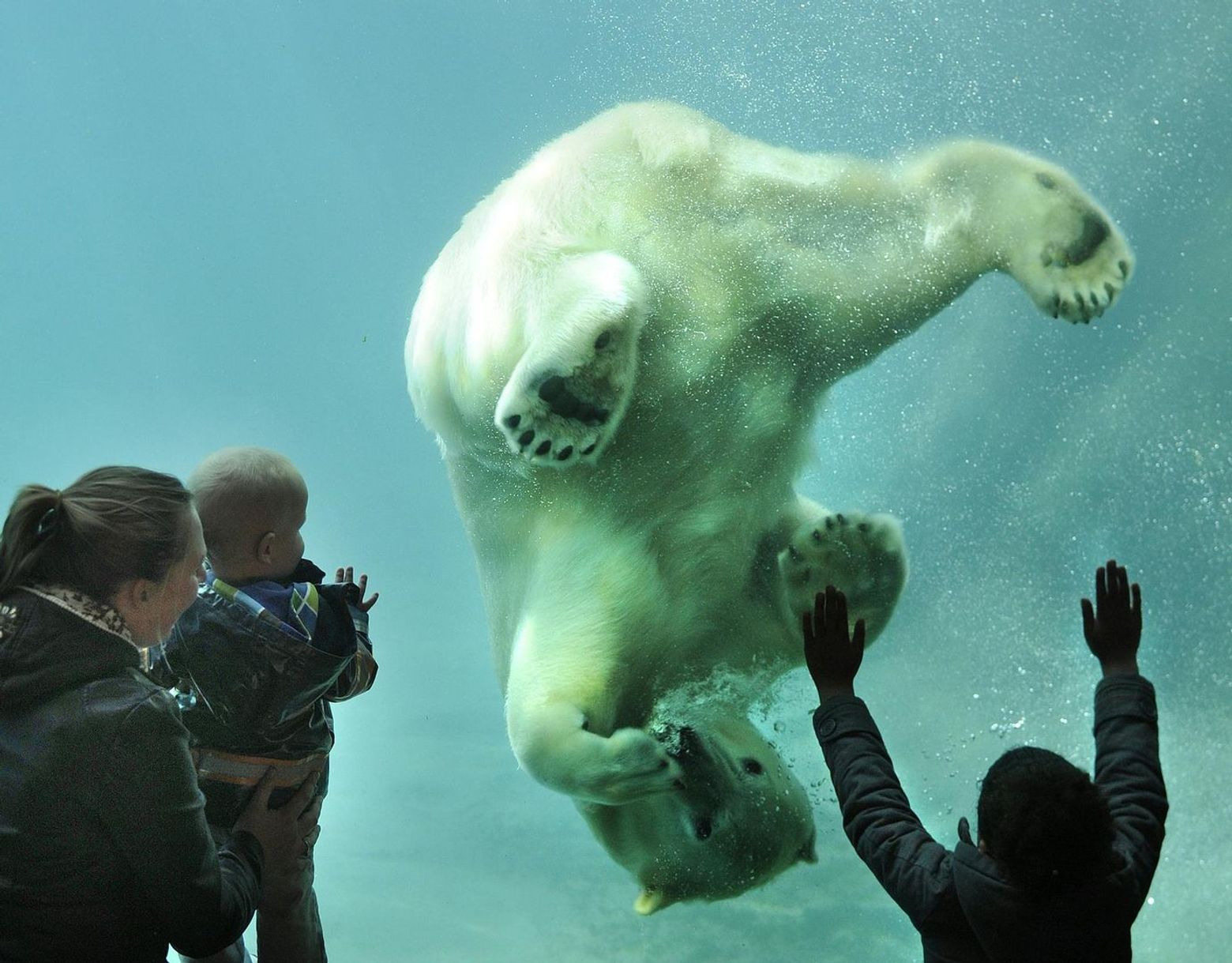 Rotterdam Zoo: Skip The Line Ticket
