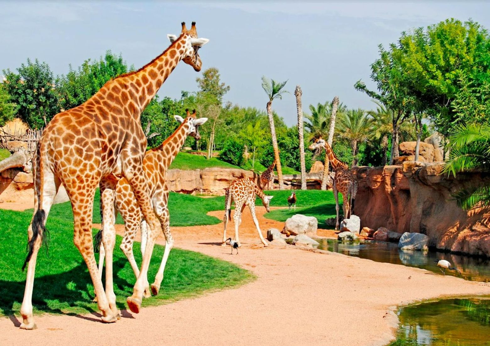 Bioparc Valencia: Fast Track Ticket