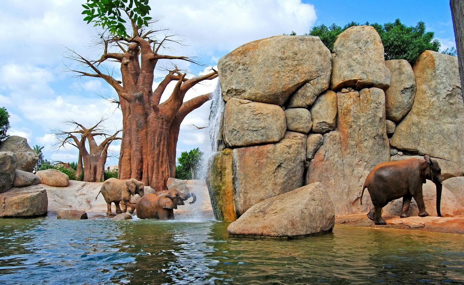 Bioparc Valencia: Fast Track Ticket - photo 2