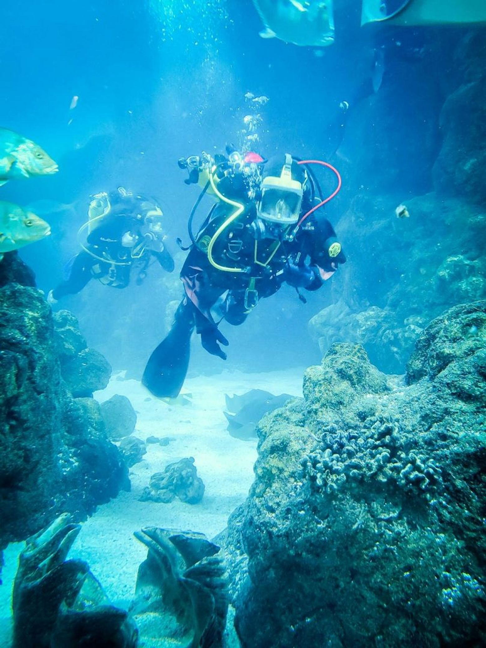 Downtown Aquarium Denver: Entry Ticket - photo 2