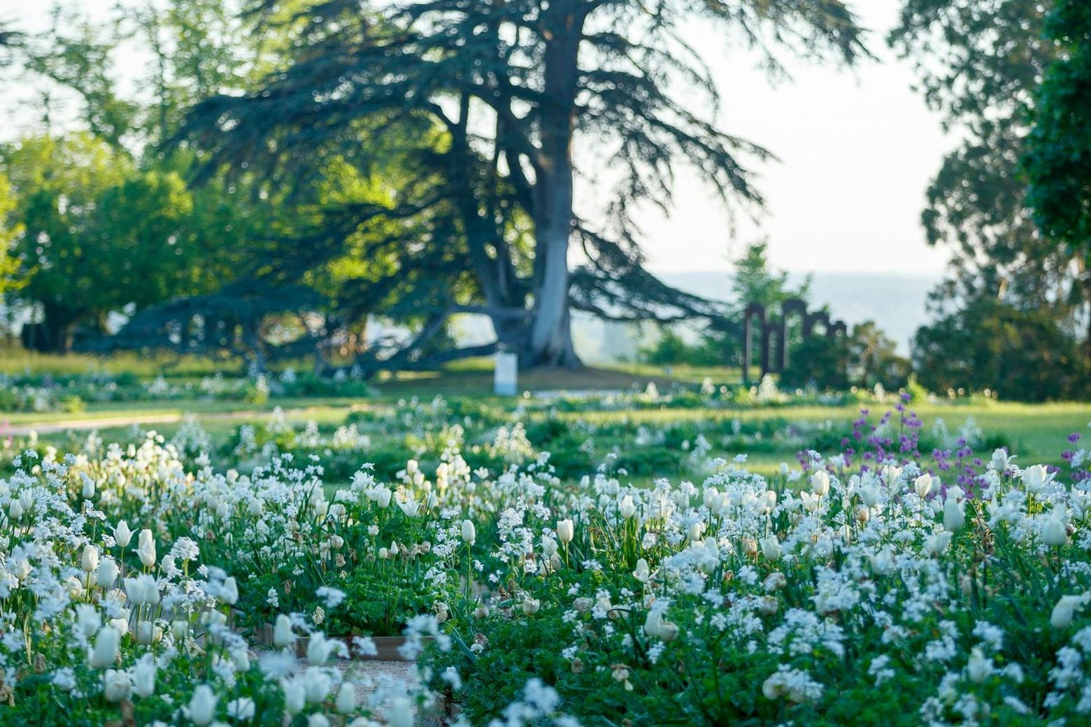 Domaine de Chaumont-sur-Loire: Skip The Line Ticket - photo 2