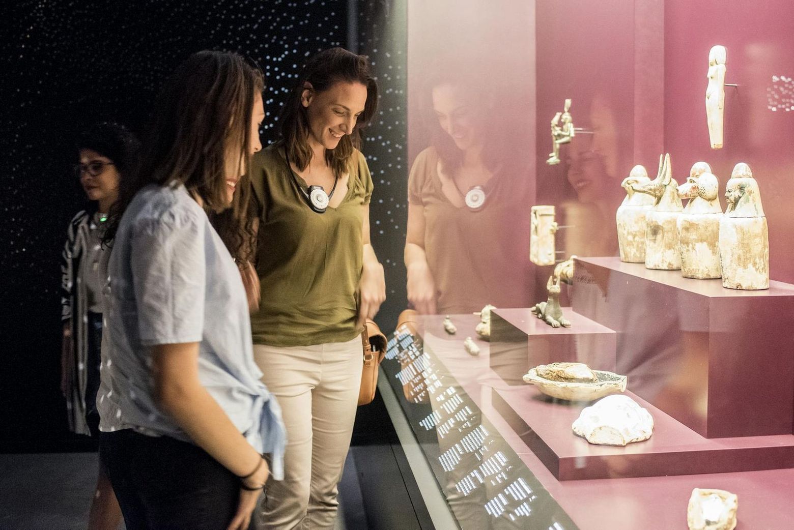 Musée des Confluences: Entry Ticket