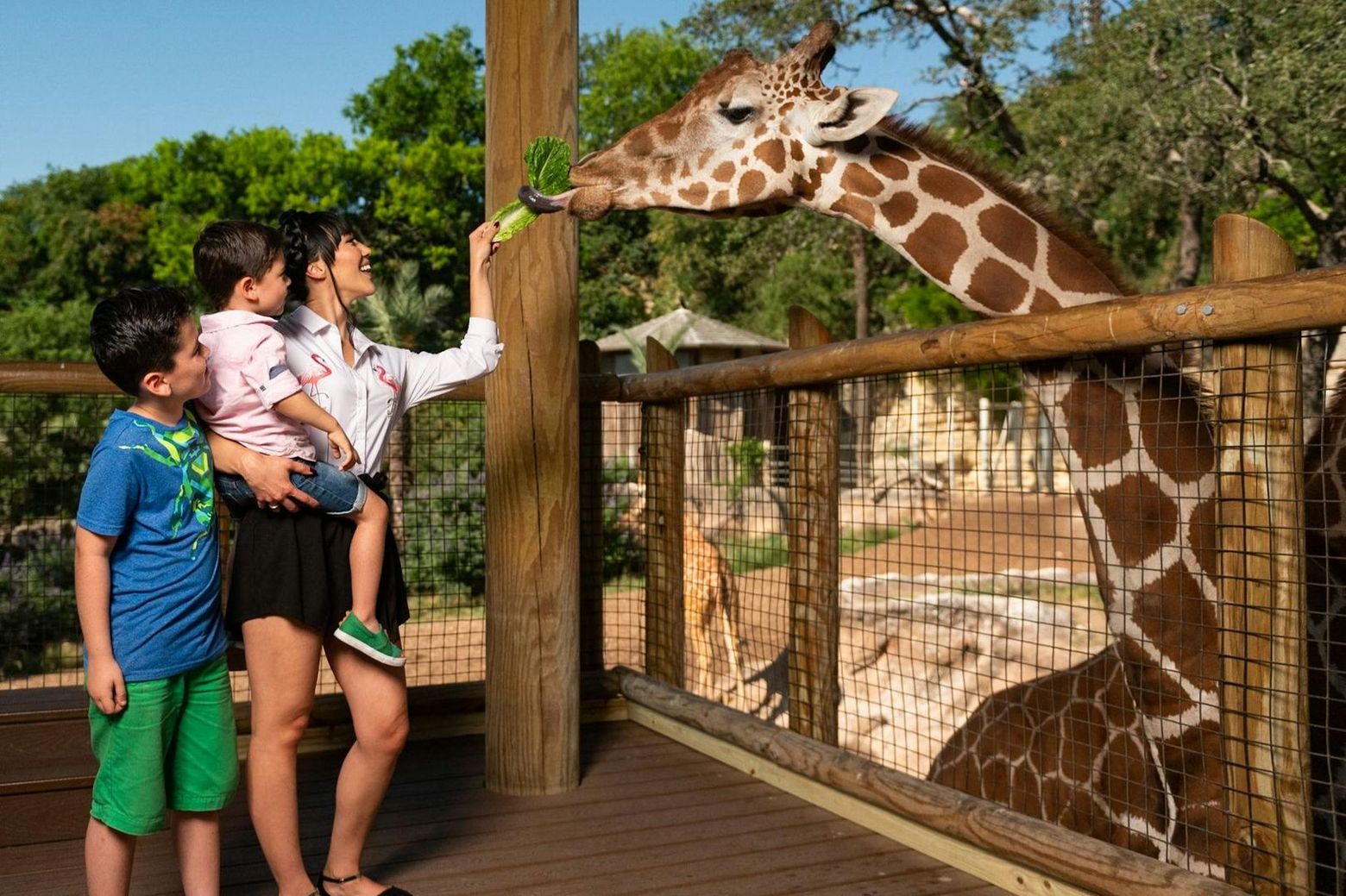 San Antonio Zoo Flexible Any-Day Entry Ticket