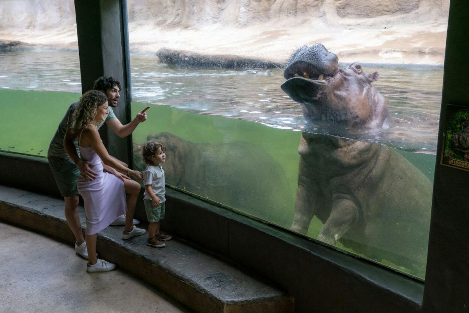 San Antonio Zoo Flexible Any-Day Entry Ticket - photo 2