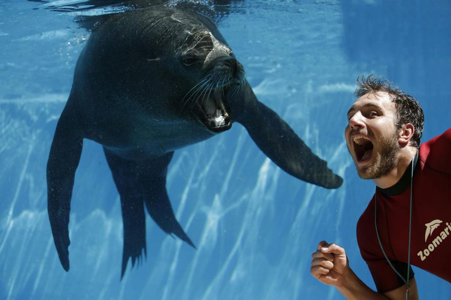 Zoomarine: Fast Track Ticket - photo 2