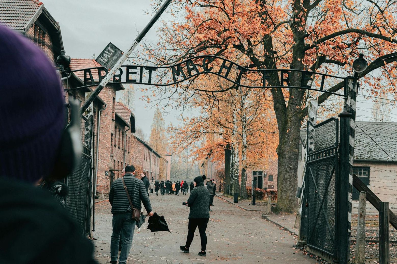 Auschwitz-Birkenau: Entry + Transport