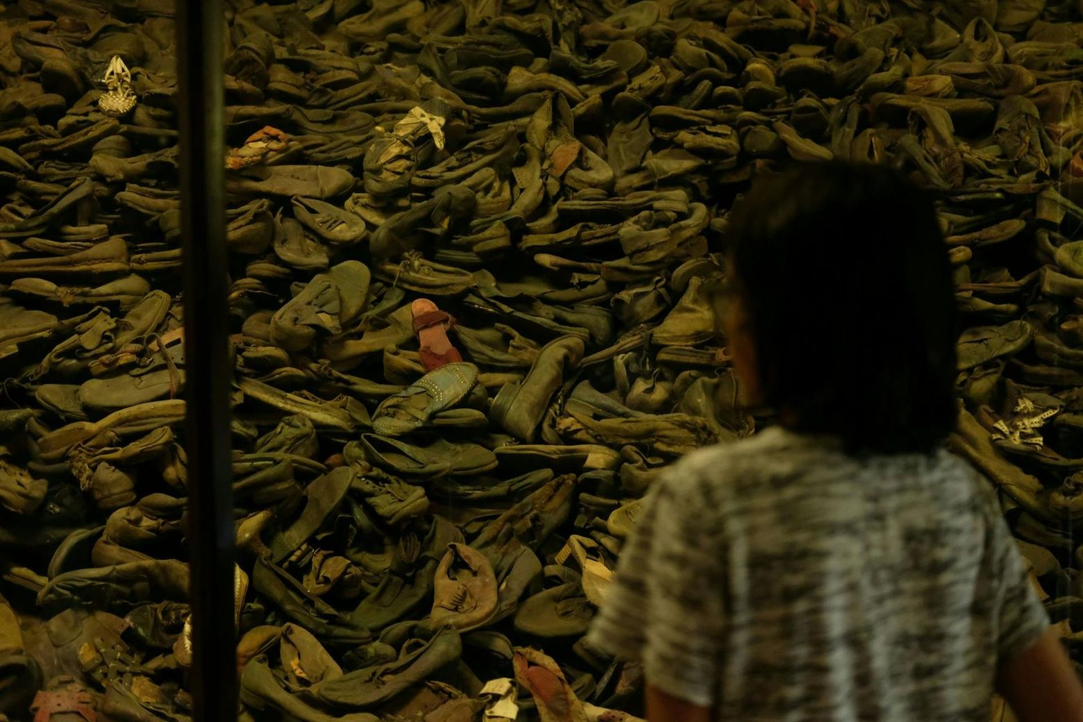 Auschwitz-Birkenau: Entry + Transport - photo 2