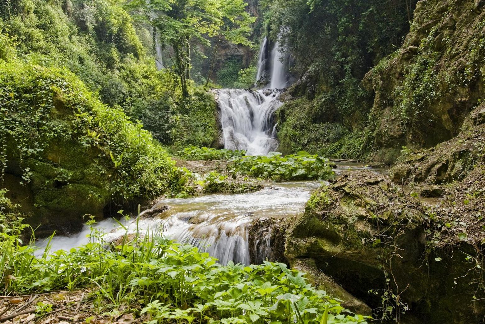 Villa Gregoriana: Entry Ticket
