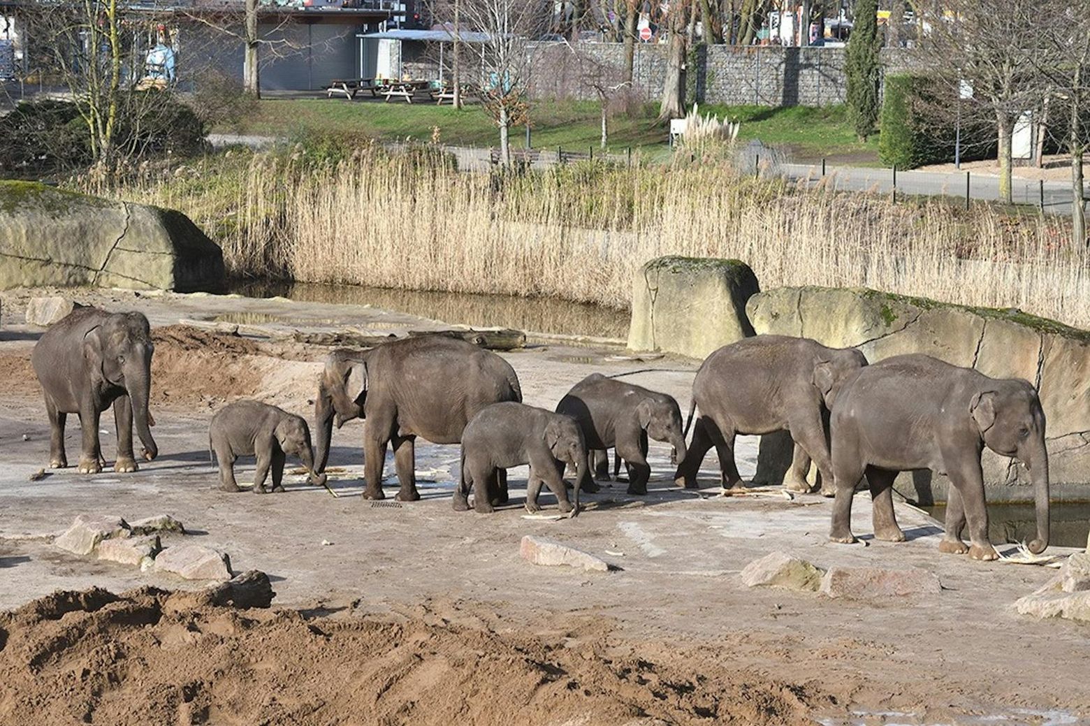 Cologne Zoo & Aquarium: Entry Ticket - photo 2