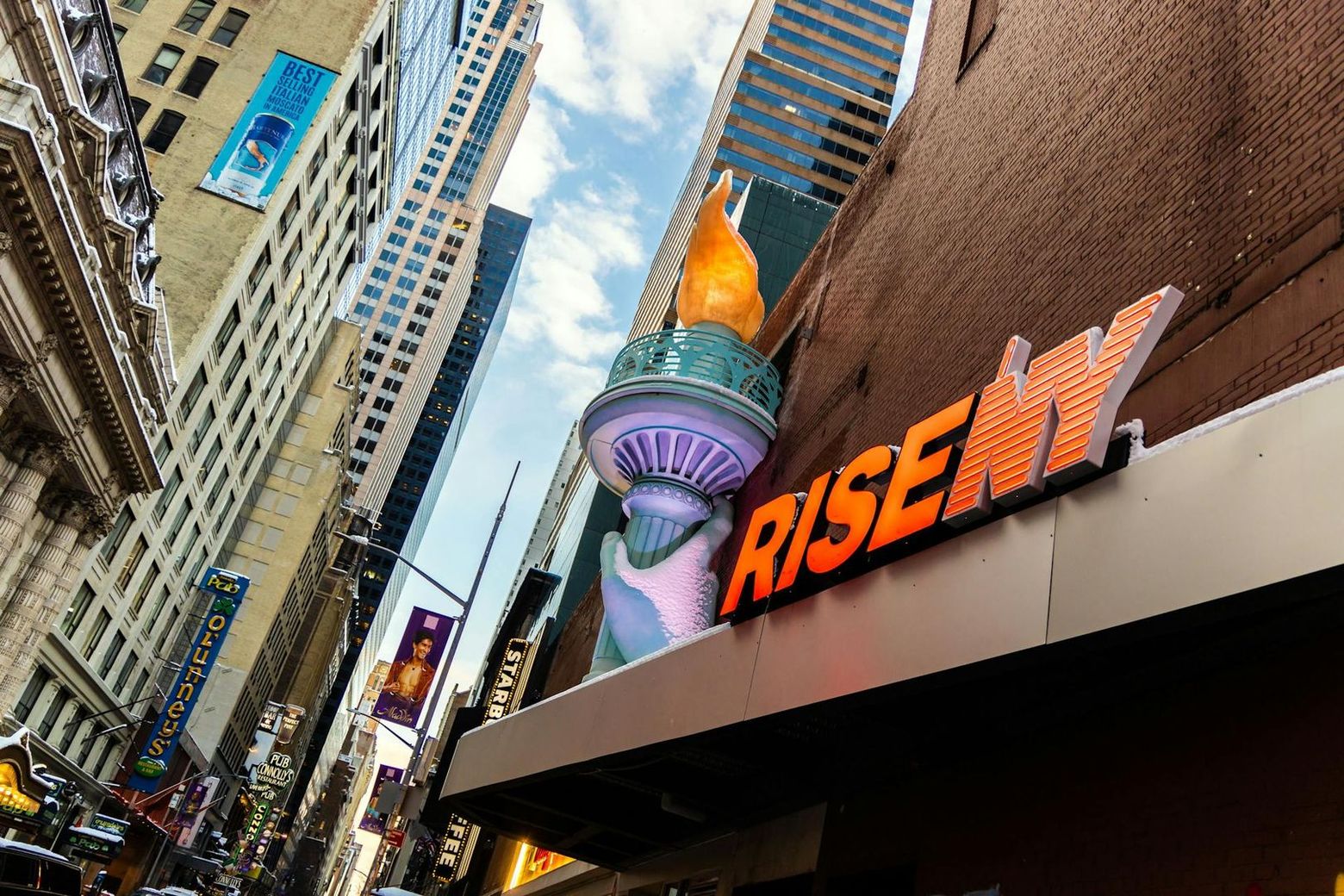 RiseNY: Entry Ticket